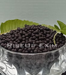 RiseUp Exim, sodium bentonite, bentonite, roasted bentonite granules, bentonite balls, bentonite supplier India, bentonite exporter,bentonite manufacturer Gujarat, premium bentonite, industrial bentonite, bentonite global supplier, bentonite supplier, bentonite for fertilizer, sodium bentonite powder, roasted bentonite granules, bentonite for construction, bentonite for drilling, sodium bentonite for agriculture, bentonite powder supplier, roasted bentonite granules manufacturer, bentonite exporter India, bentonite soil conditioner, sodium bentonite drilling mud, sodium bentonite, bentonite powder, roasted bentonite granules, bentonite supplier India, bentonite for fertilizer, bentonite exporter, bentonite for npk fertilizer, bentonite for humic acid, bentonite for plant growth regulators, bentonite for bio stimulants, bentonite in organic fertilizers, bentonite for pesticides, bentonite for herbicides, bentonite in agriculture, bentonite for soil health, bentonite for water retention, RiseUp Exim bentonite, RiseUp Exim sodium bentonite, Gujarat bentonite supplier, best bentonite exporter, premium bentonite from Gujarat, India.